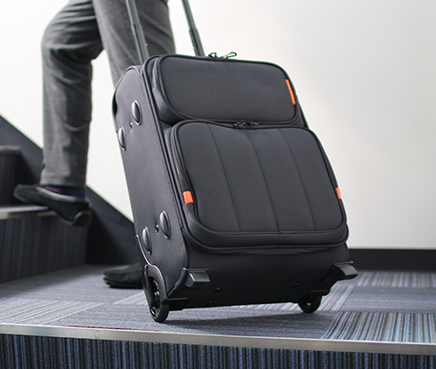 PILOT CASE &times; CARRY CASE