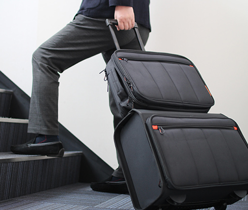 CARRY CASE &times; PILOT CASE